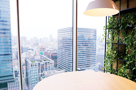 オフィスからの景色
